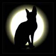 Darkness17