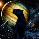 T5_Pantera
