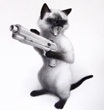 angrysybarit